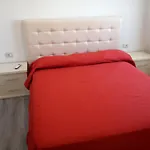 Delfin * ساراندا