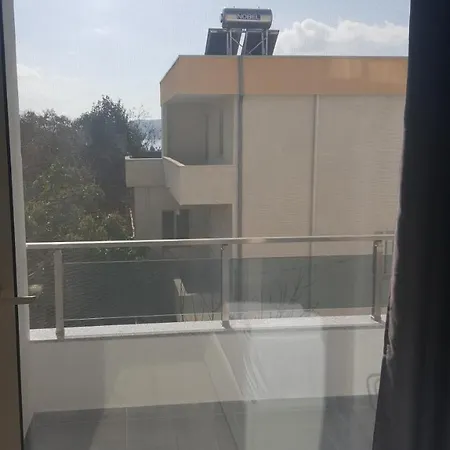 Delfin Sarandë